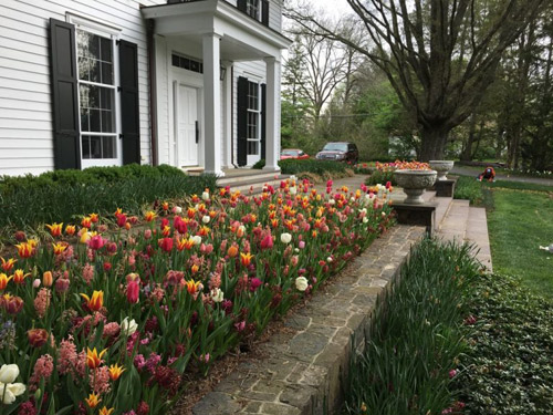 Garnich | Landscape Maintenance in New Jersey